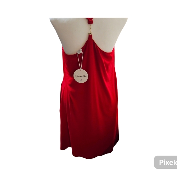 NWT Caracilia Midi Dress - Picture 2 of 5